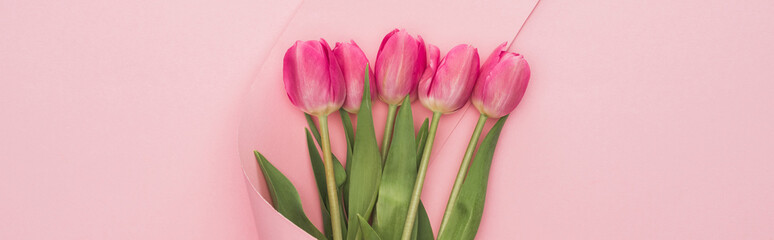 top view of pink tulips wrapped in paper swirl on pink background