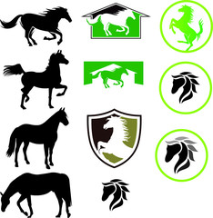 Sea Horse Modern Logo Design