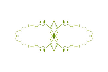 Floral Desaign. Twisted jungle vines liana plant with heart shaped green leaves isolated on white...