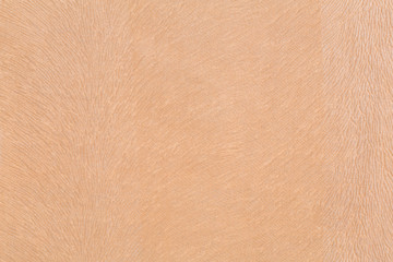 fabric texture
