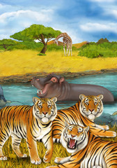 cartoon scene with hippopotamus hippo swimming in river near the meadow and giraffes resting illustration for children