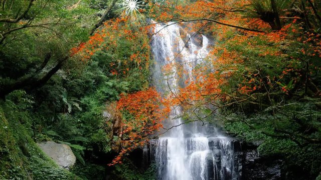 Nice water fall place with maple behind iti with lighting effect