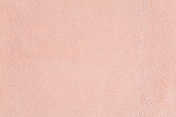Fototapeta premium fabric texture