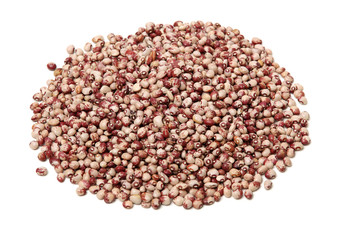 Dry beans on white background