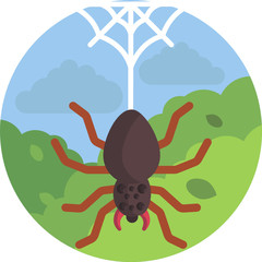 illustration of spider