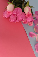 pink roses copy space to write your own message
