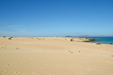 Fototapeta na wymiar Sand dunes. Parque Natural de Corralejo at Fuerteventura, Canary Islands, Spain