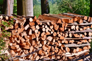 pile of wood logs