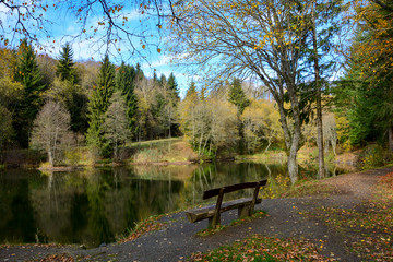 Empty wooden bench on a  lake in a forest