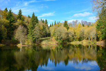 Fototapeta na wymiar Small lake in a forest, in autumn in the Rhön, Germany