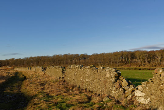 The Scottish East Coast Footpath at Johnshaven with a straight section of damaged Drystone wall adjacent to the path