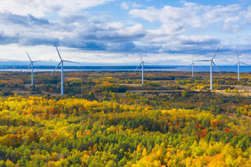 The Windmills park of Paldiski. Wind turbine farm near Baltic sea. Autumn landscape with windmills, orange forest and blue sky. Pakri peninsula, Estonia, Europe
