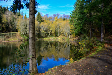 Lake in a forest, with  trees and a way