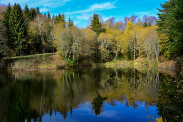 Fototapeta na wymiar Lake in a forest, in autumn with blue sky