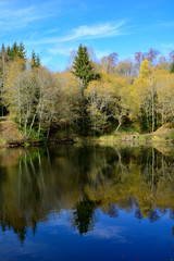 A lake in a forest, with blue sky and reflection
