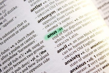 Anus word or phrase in a dictionary.