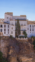 Green slender cypress in the front garden over a cliff against the background of white houses. Ronda, Andalusia, Spain