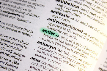 Antler word or phrase in a dictionary.