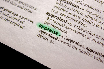 Appraise word or phrase in a dictionary.
