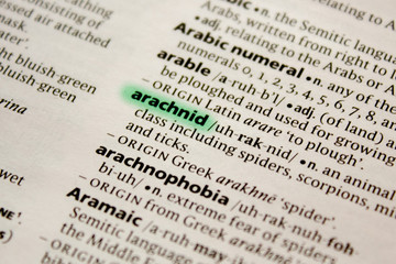 Arachnid word or phrase in a dictionary.
