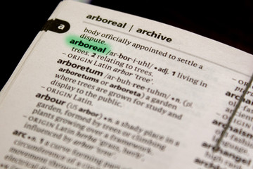 Fototapeta premium Arboreal word or phrase in a dictionary.