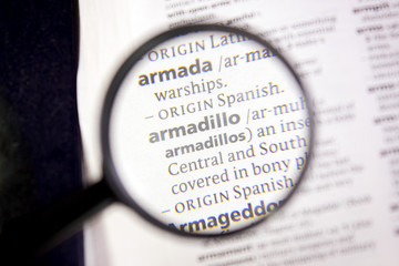 Armadillo word or phrase in a dictionary.