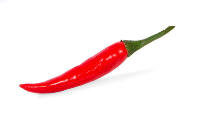 red chili pepper an isolated on white background
