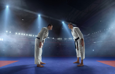 Karate fighters on tatami. Fighting Championship.