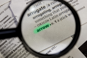 Arrow word or phrase in a dictionary.