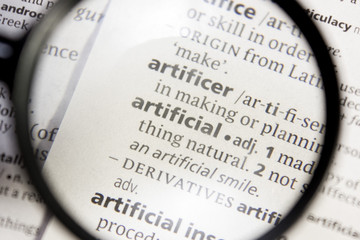 Artificial word or phrase in a dictionary.