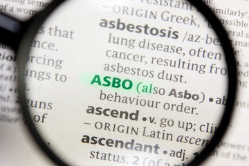 Asbo word or phrase in a dictionary.