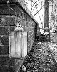 Antique lantern and bench in a woodland setting.
