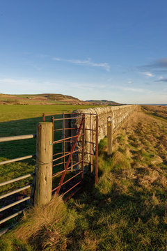 An old rusting metal Kissing Gate set into a Drystone wall to allow People to access the footpath to Benholm from the Coastal Path.