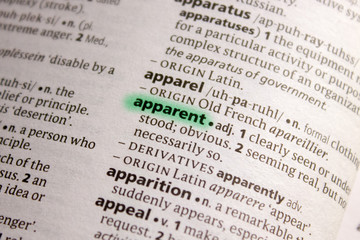 Apparent word or phrase in a dictionary.
