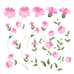 Set of linum flower elements. Collection of flax flowers on a white background. Flower isolated against white. Beautiful set of flowers. Vector illustration.