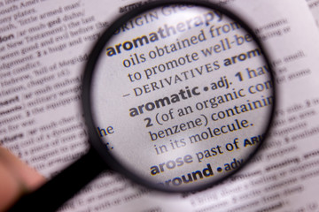 Aromatic word or phrase in a dictionary.