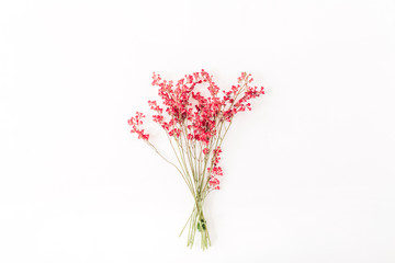 Colorful red wildflowers bouquet on white background. Minimal floral concept.
