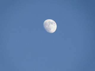 Mond