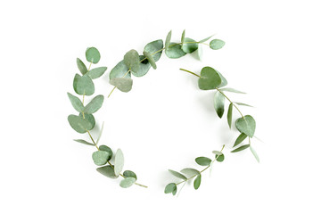 frame with branches eucalyptus  isolated on white background. lay flat, top view