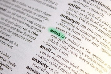 Naklejka premium Anus word or phrase in a dictionary.