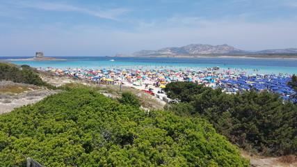 La Pelosa Beach Strand auf Sardinien