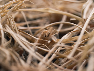 Closeup of dry grass