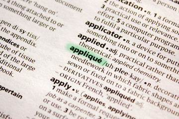 Appliqu? word or phrase in a dictionary.