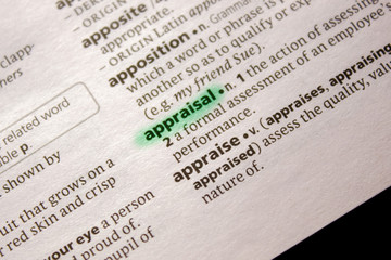 Appraisal word or phrase in a dictionary.
