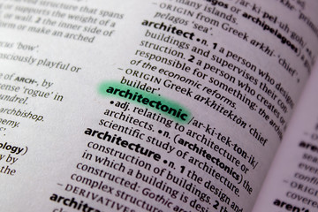 Architectonic word or phrase in a dictionary.