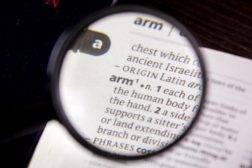 Arm word or phrase in a dictionary.