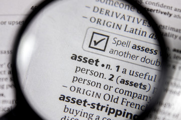 The word or phrase asset in a dictionary.
