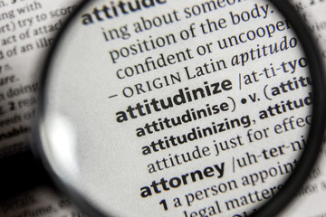 The word or phrase attitudinize in a dictionary.