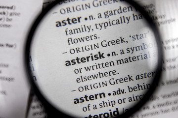 The word or phrase asterisk in a dictionary.