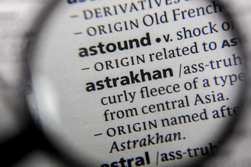The word or phrase astrakhan in a dictionary.